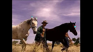 VCA Gay - Skills Driver - scene 1